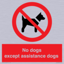 no-dogs-except-assistance-dogs~